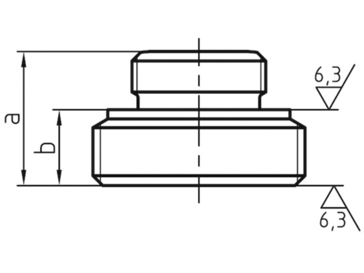 Einschraubteile +GF+ 373S
