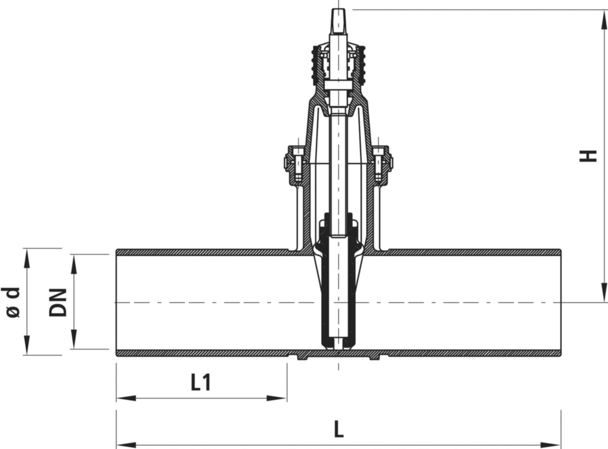 Spitzend-/Schieber Hawle PN 16