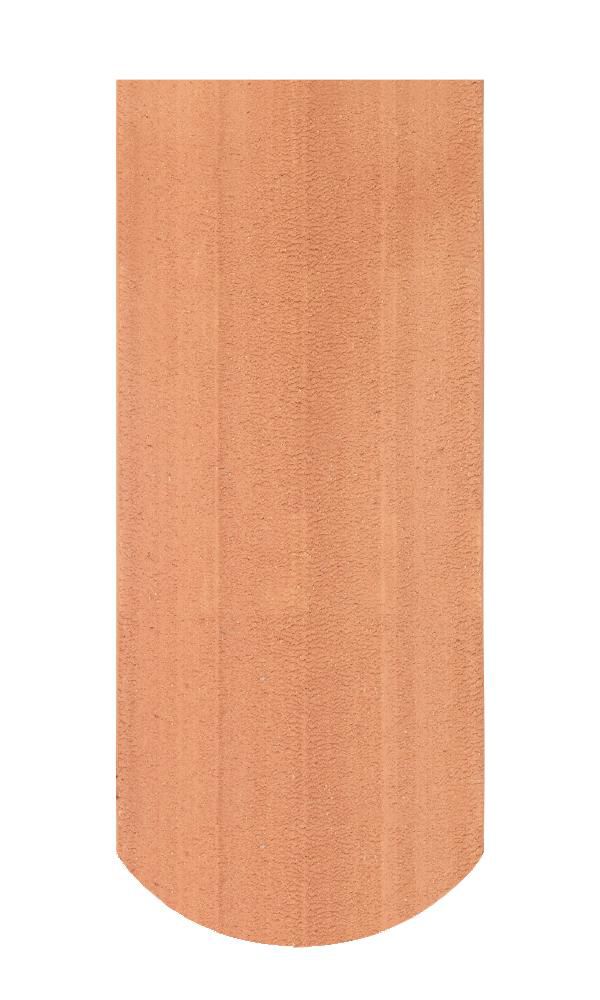 Dachziegel Berner Biber