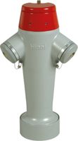 Hydrant Hinni Oberteil 6000