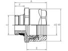 Schwarzrohradapter Simplex PLUS - mit AG und Gewindeeinschneiddichtung