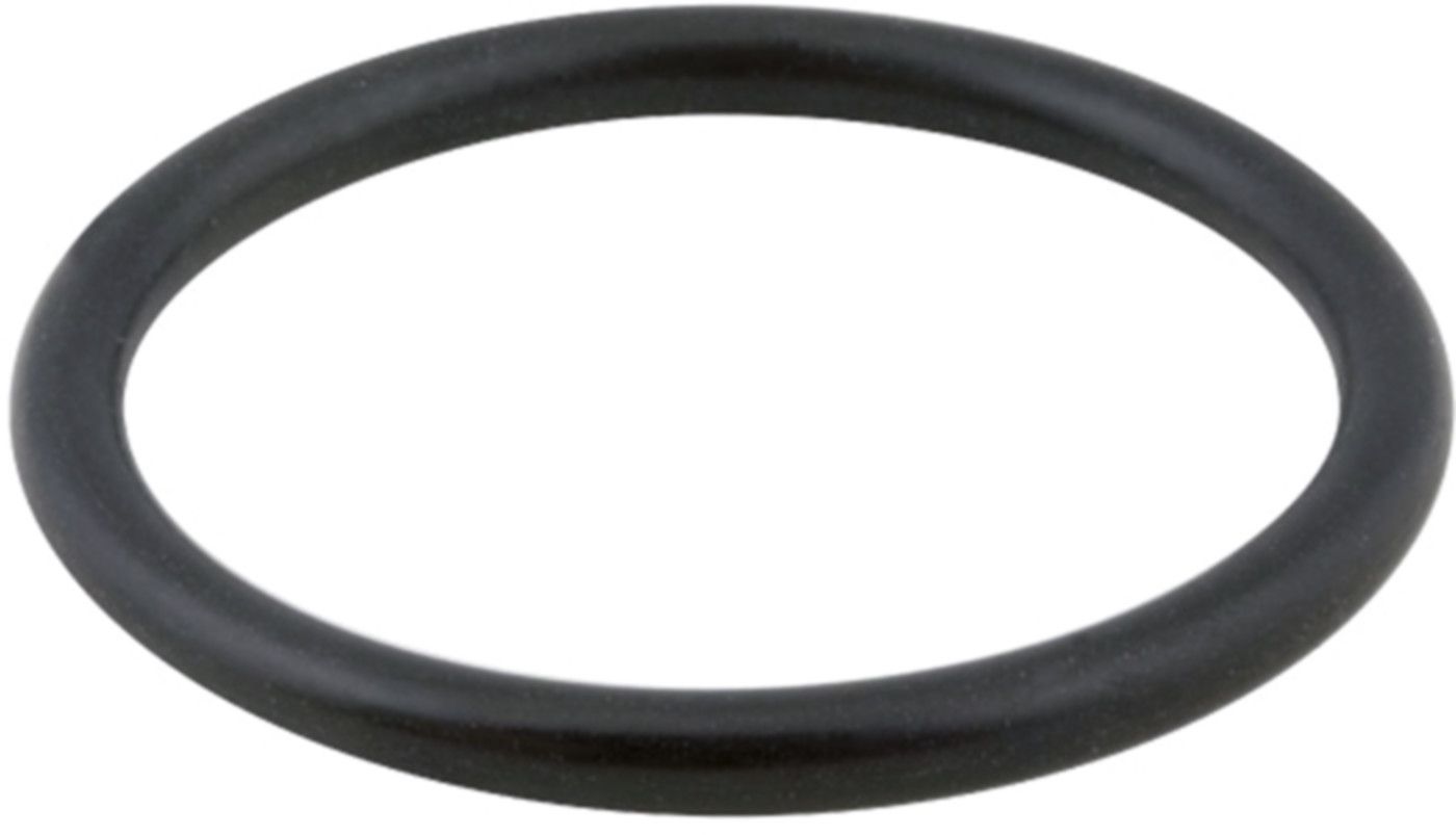 Isiflo O-Ring