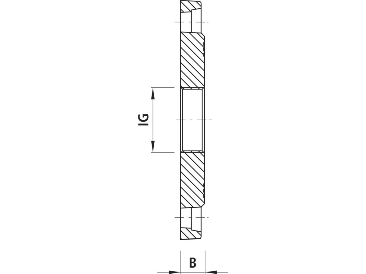Gewindeflansch PN16, IG 2"