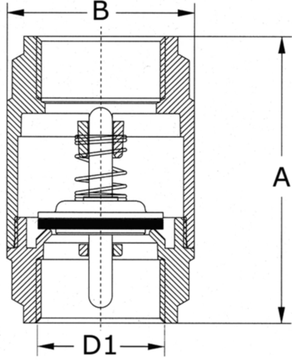 Rückschlagventil Europa
