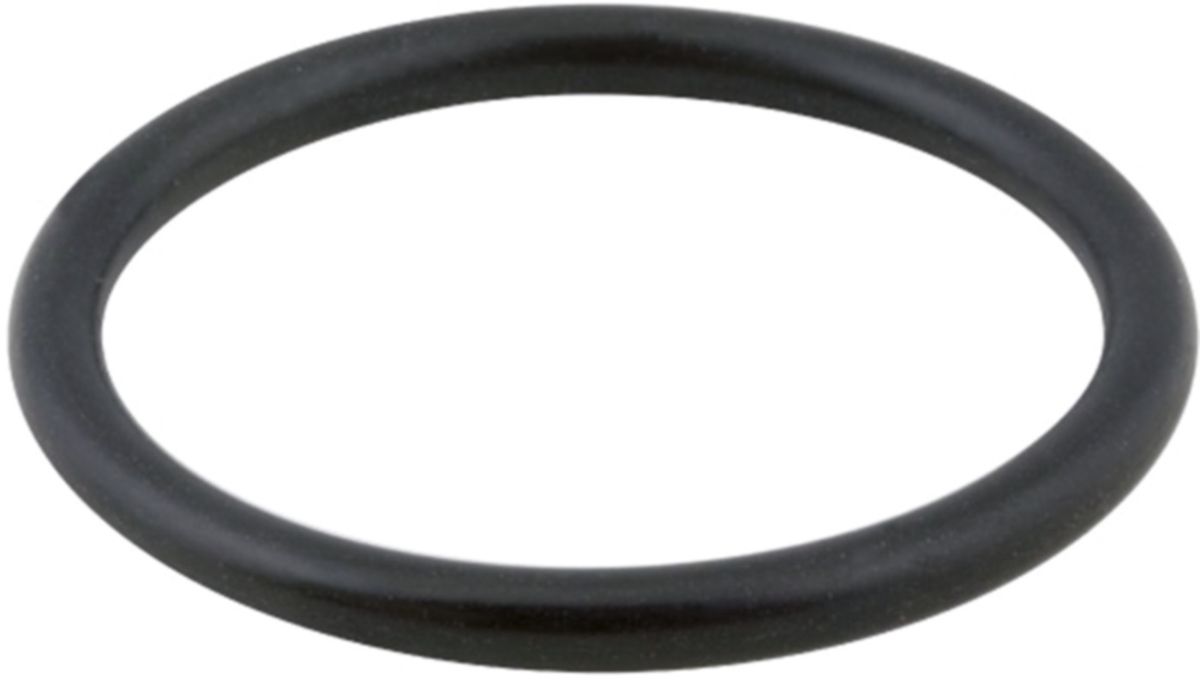 Isiflo O-Ring