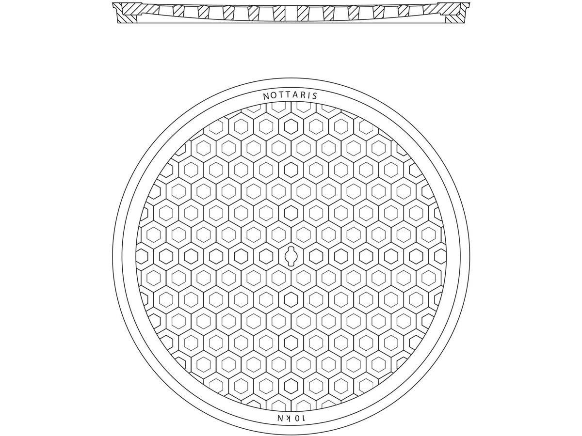 Strassenrost Fig. 22-1 - mit Schlüsselloch