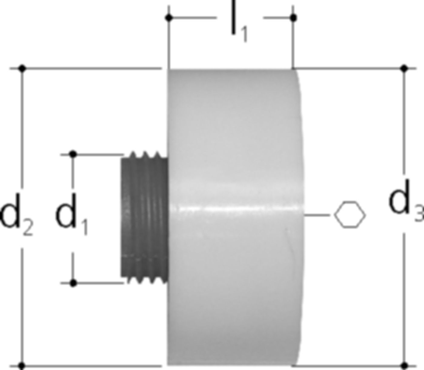 Sanipex Schutz- und Abpressstopfen Dose - aus Kunststoff
