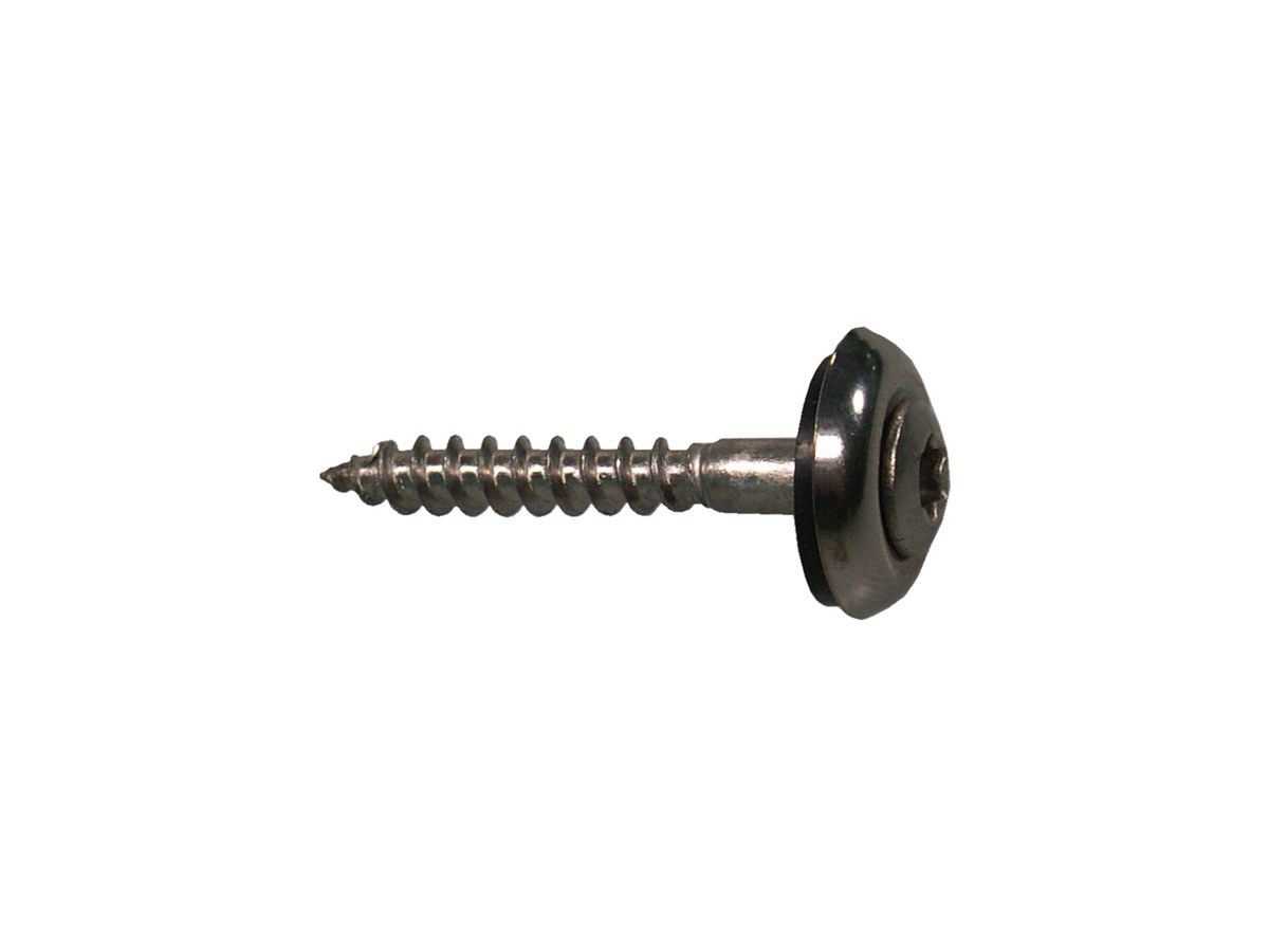 Spenglerschr. Torx T25 4,5x 19 - A2 blank Dichtscheibe/Cuvette 200 Stk.