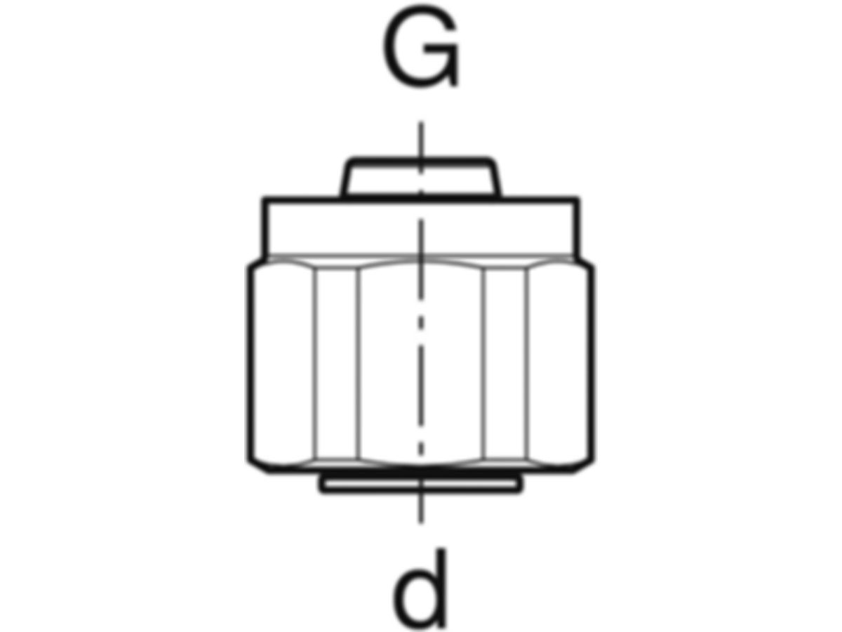 Anschlussverschraubungen mit IG - GEBERIT FlowFit