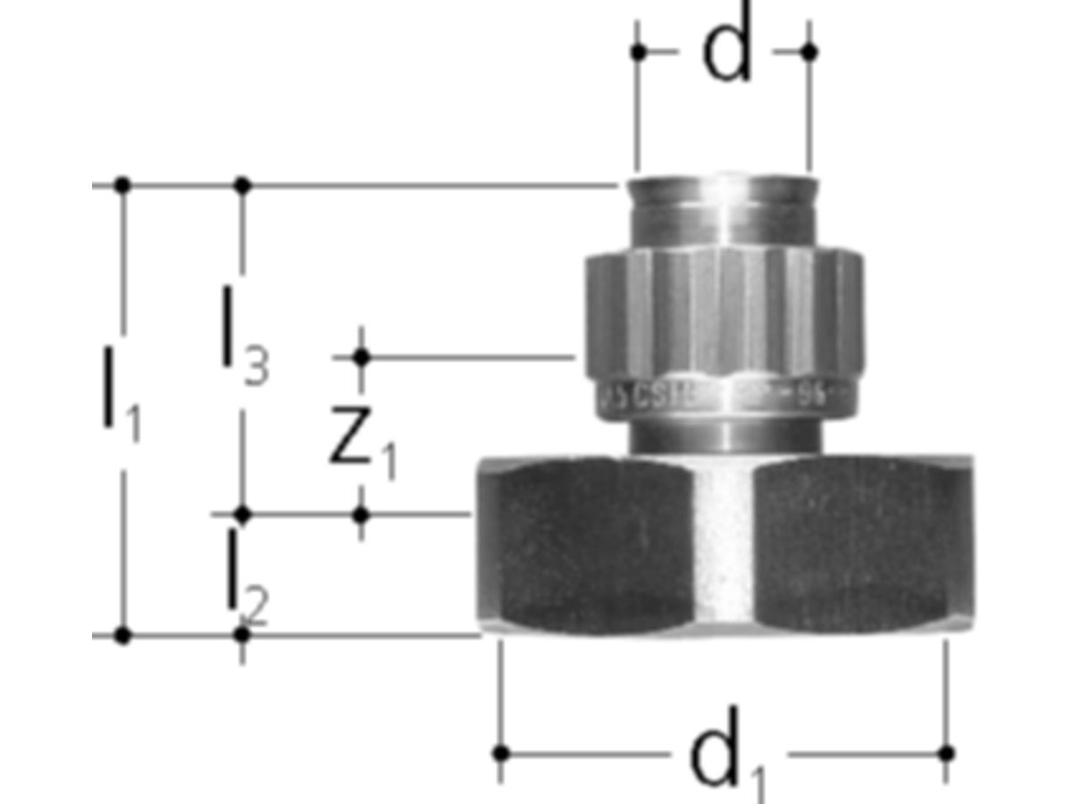 Sanipex Armaturenübergang