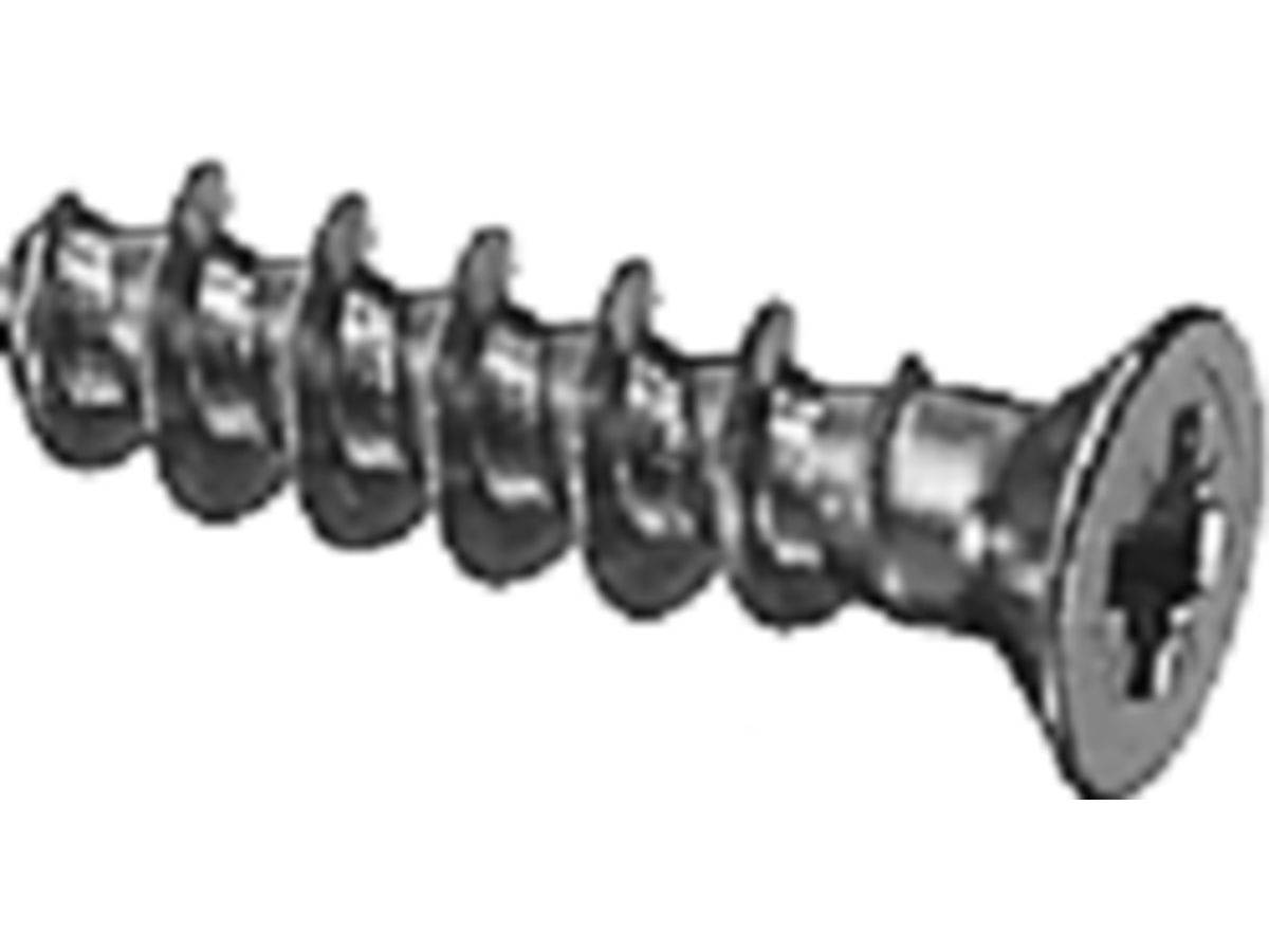 Sanipex PT-Senkschraube