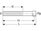 Mapress Edelstahl mit Steckende - mit Innengewinde Inox